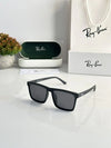 RB 25532 Black Polarized Sunglasses